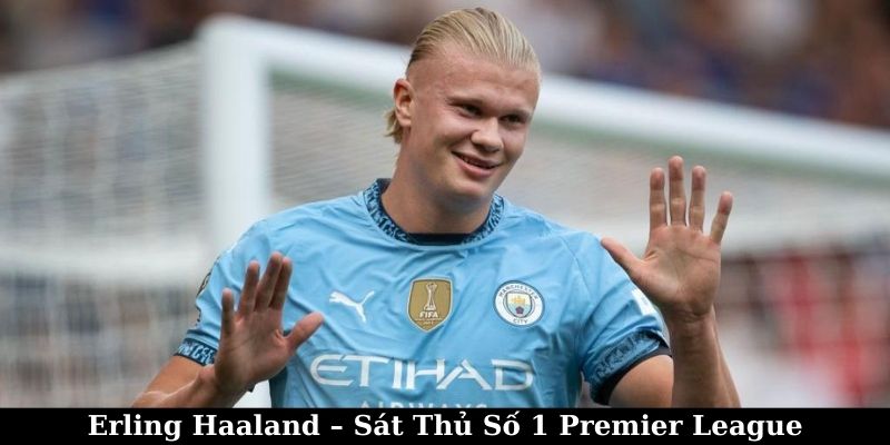 Erling Haaland – Sát Thủ Số 1 Premier League